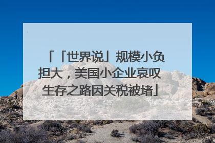 「世界说」规模小负担大，美国小企业哀叹生存之路因关税被堵