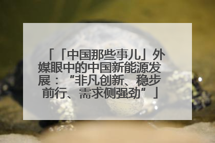 「中国那些事儿」外媒眼中的中国新能源发展：“非凡创新、稳步前行、需求侧强劲”