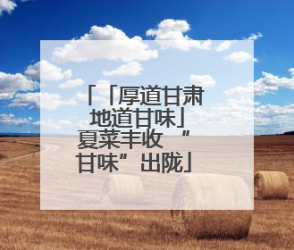 「厚道甘肃 地道甘味」夏菜丰收 “甘味”出陇
