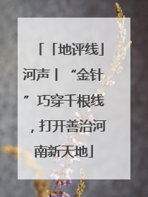 「地评线」河声丨“金针”巧穿千根线，打开善治河南新天地