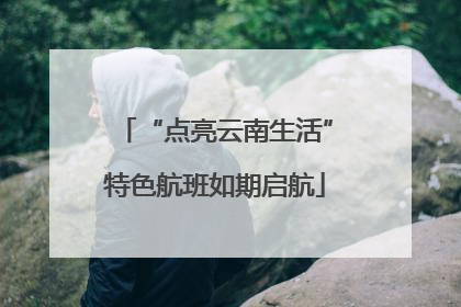 “点亮云南生活”特色航班如期启航