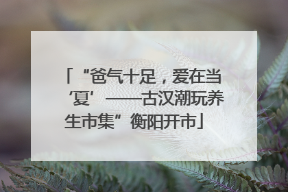 “爸气十足，爱在当‘夏’——古汉潮玩养生市集”衡阳开市