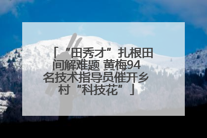 “田秀才”扎根田间解难题 黄梅94名技术指导员催开乡村“科技花”