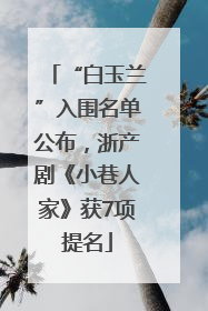 “白玉兰”入围名单公布，浙产剧《小巷人家》获7项提名