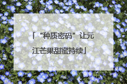 “种质密码”让元江芒果甜蜜持续