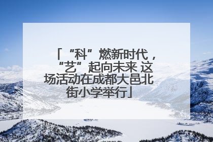 “科”燃新时代，“艺”起向未来 这场活动在成都大邑北街小学举行