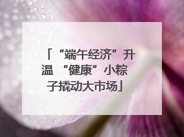 “端午经济”升温 “健康”小粽子撬动大市场