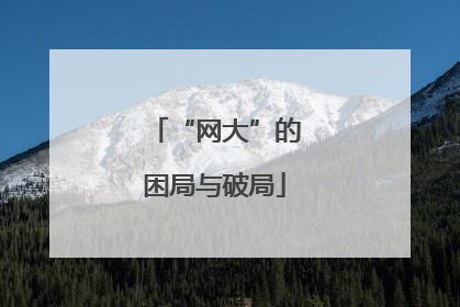 “网大”的困局与破局