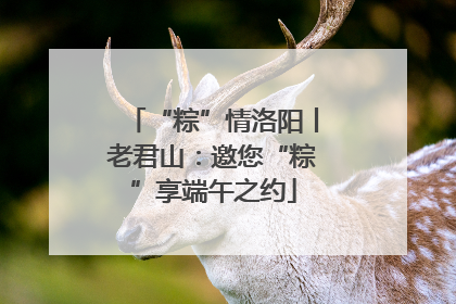 “粽”情洛阳丨老君山：邀您“粽”享端午之约