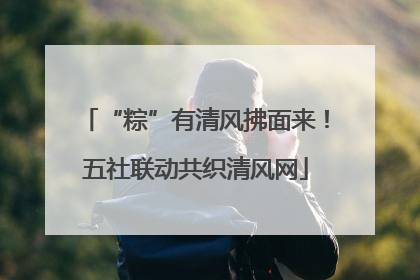 “粽”有清风拂面来！五社联动共织清风网