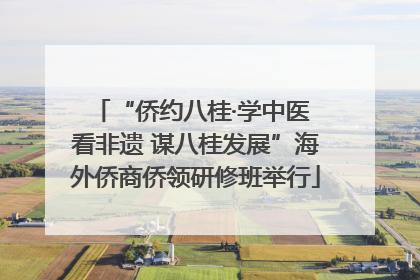 “侨约八桂·学中医 看非遗 谋八桂发展”海外侨商侨领研修班举行