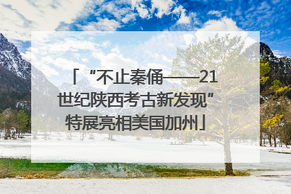 “不止秦俑——21世纪陕西考古新发现”特展亮相美国加州