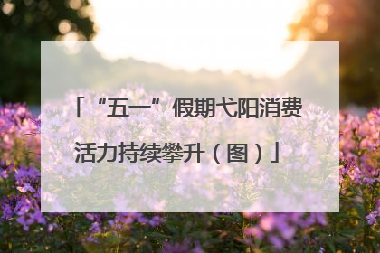 “五一”假期弋阳消费活力持续攀升（图）