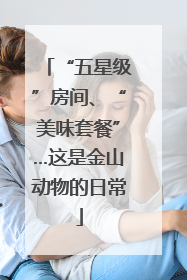 “五星级”房间、“美味套餐”…这是金山动物的日常