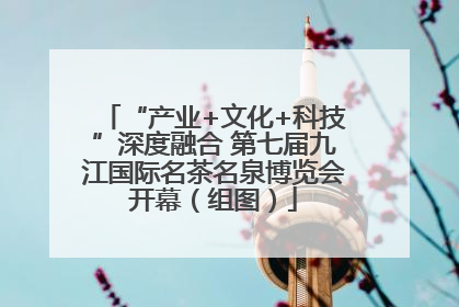 “产业+文化+科技”深度融合 第七届九江国际名茶名泉博览会开幕（组图）