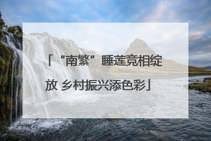 “南繁”睡莲竞相绽放 乡村振兴添色彩