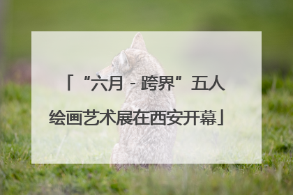 “六月 - 跨界”五人绘画艺术展在西安开幕