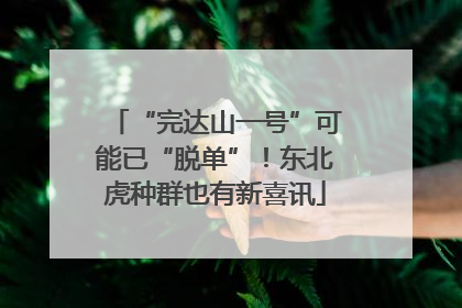 “完达山一号”可能已“脱单”！东北虎种群也有新喜讯
