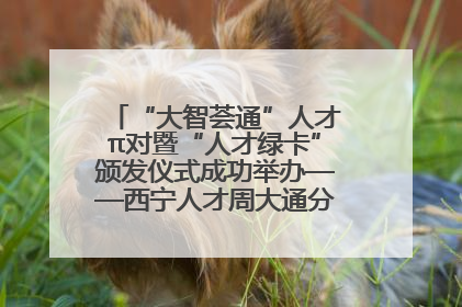 “大智荟通”人才π对暨“人才绿卡”颁发仪式成功举办——西宁人才周大通分会场亮点纷呈