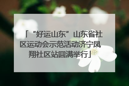 “好运山东”山东省社区运动会示范活动济宁凤翔社区站圆满举行