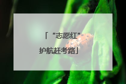 “志愿红”护航赶考路