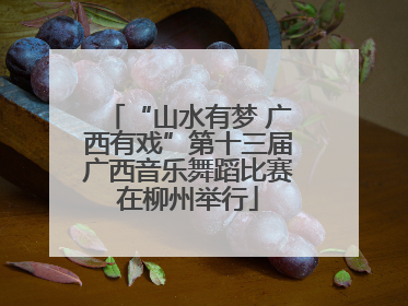 “山水有梦 广西有戏”第十三届广西音乐舞蹈比赛在柳州举行