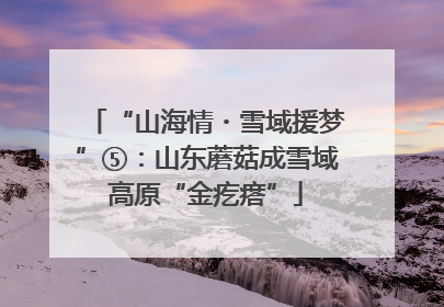 “山海情・雪域援梦”⑤：山东蘑菇成雪域高原“金疙瘩”
