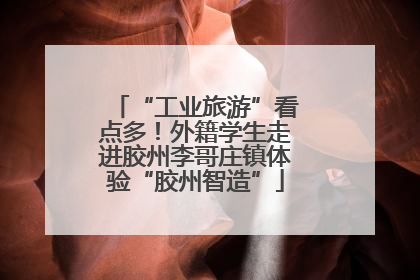 “工业旅游”看点多！外籍学生走进胶州李哥庄镇体验“胶州智造”