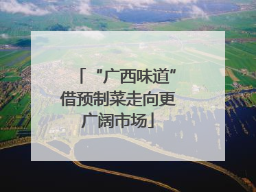 “广西味道”借预制菜走向更广阔市场