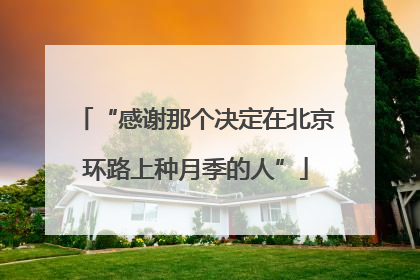“感谢那个决定在北京环路上种月季的人”
