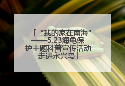 “我的家在南海”——5.23海龟保护主题科普宣传活动走进永兴岛
