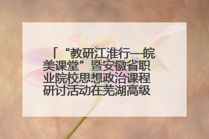 “教研江淮行—皖美课堂”暨安徽省职业院校思想政治课程研讨活动在芜湖高级职业技术学校举行
