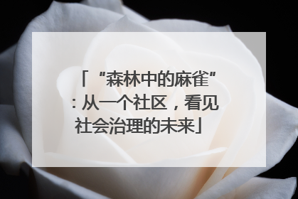 “森林中的麻雀”：从一个社区，看见社会治理的未来