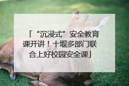 “沉浸式”安全教育课开讲！十堰多部门联合上好校园安全课