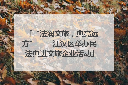 “法润文旅，典亮远方”——江汉区举办民法典进文旅企业活动