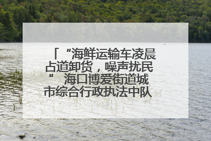 “海鲜运输车凌晨占道卸货，噪声扰民” 海口博爱街道城市综合行政执法中队：将联合交警加强长堤路一带巡逻