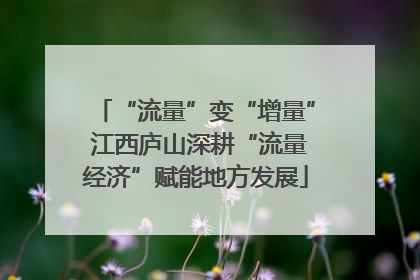 “流量”变“增量” 江西庐山深耕“流量经济”赋能地方发展