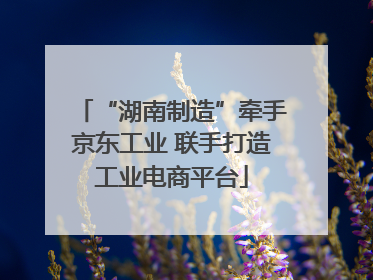 “湖南制造”牵手京东工业 联手打造工业电商平台