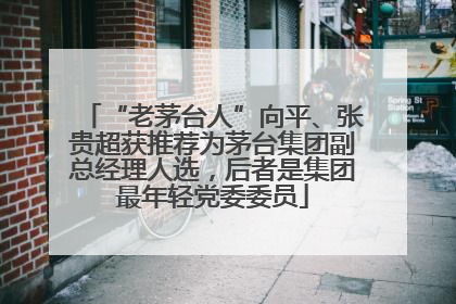 “老茅台人”向平、张贵超获推荐为茅台集团副总经理人选，后者是集团最年轻党委委员