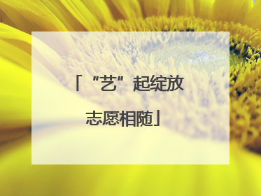“艺”起绽放 志愿相随
