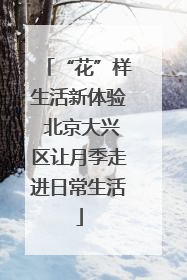 “花”样生活新体验 北京大兴区让月季走进日常生活