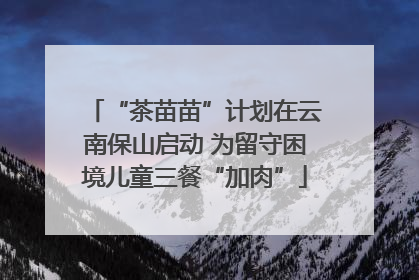 “茶苗苗”计划在云南保山启动 为留守困境儿童三餐“加肉”