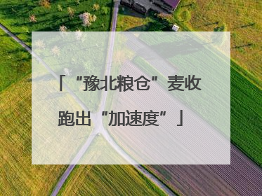 “豫北粮仓”麦收跑出“加速度”