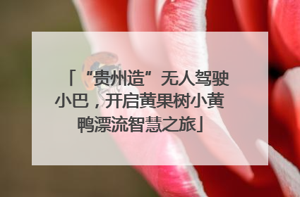“贵州造”无人驾驶小巴，开启黄果树小黄鸭漂流智慧之旅