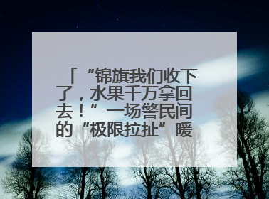 “锦旗我们收下了，水果千万拿回去！”一场警民间的“极限拉扯”暖了整个城