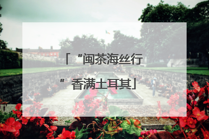 “闽茶海丝行”香满土耳其