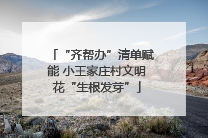 “齐帮办”清单赋能 小王家庄村文明花“生根发芽”