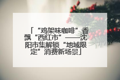 “鸡架味咖啡”香飘“西红市”——沈阳市集解锁“地域限定”消费新场景