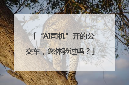“AI司机”开的公交车，您体验过吗？