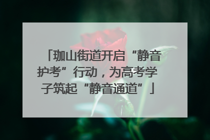 珈山街道开启“静音护考”行动，为高考学子筑起“静音通道”
